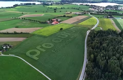 pro aurum Seeds 8-Hectare Logo in Precision Agriculture Branding Push