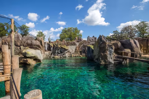 Leipzig Zoo Opens 'Feuerland': A 5-Million-Liter Pacific Coast Habitat