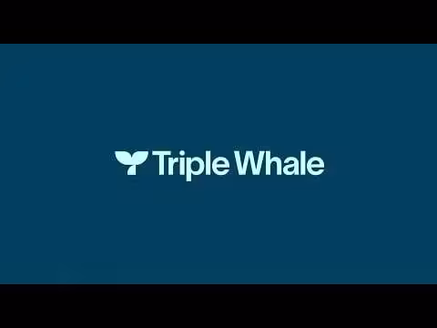 Triple Whale Rebrands as AI Operating System for Commerce